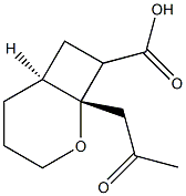 (1R,6S)-1-(2-Oxopropyl)-2-oxabicyclo[4.2.0]octane-8-carboxylic acid 结构式