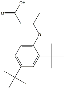 3-(2,4-Di-tert-butylphenoxy)butanoic acid 结构式