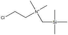 (2-Chloroethyl)dimethyl[(trimethylsilyl)methyl]aminium