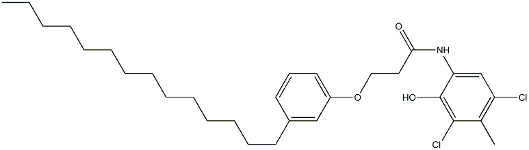 2-[3-(3-Tetradecylphenoxy)propanoylamino]-4,6-dichloro-5-methylphenol,,结构式