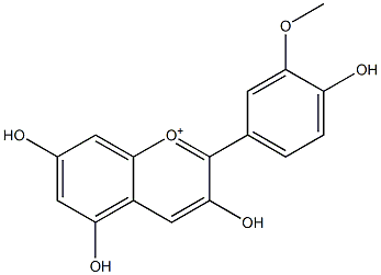 3,4',5,7-Tetrahydroxy-3'-methoxyflavylium Structure