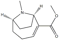 (1R,6R)-9-Methyl-9-azabicyclo[4.2.1]non-2-ene-2-carboxylic acid methyl ester Struktur