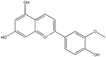 5,7-Dihydroxy-2-(3-methoxy-4-hydroxyphenyl)-1-benzopyrylium,,结构式