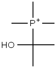 (1-Hydroxy-1-methylethyl)trimethylphosphonium Structure