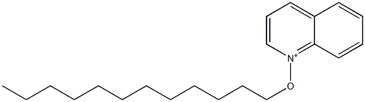 1-ドデシルオキシキノリニウム 化学構造式