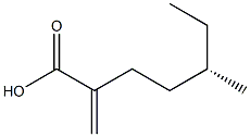 [S,(+)]-5-メチル-2-メチレンヘプタン酸 化学構造式