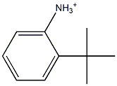 2-(tert-Butyl)anilinium