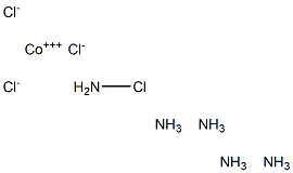 Chloropentamminecobalt(III) chloride Struktur