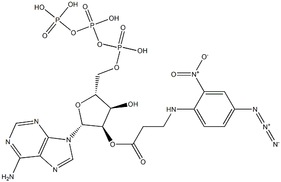 Adenosine 2'-[3-[(4-azido-2-nitrophenyl)amino]propionate]5'-triphosphoric acid 结构式