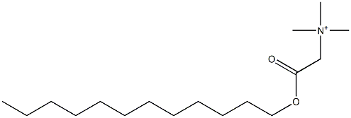 Trimethyl[2-(dodecyloxy)-2-oxoethyl]aminium 结构式