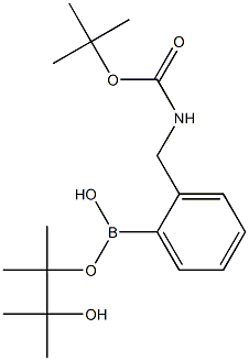 (N-Boc-aminomethyl)phenylboronic acid 
pinacol ester Structure