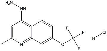 4-Hydrazino-2-methyl-7-trifluoromethoxyquinoline Hydrochloride 化学構造式