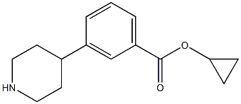 3-Piperidin-4-yl-benzoic acid cyclopropyl ester,,结构式
