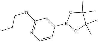 4-(4,4,5,5-tetramethyl-1,3,2-dioxaborolan-2-yl)-2-propoxypyridine Struktur