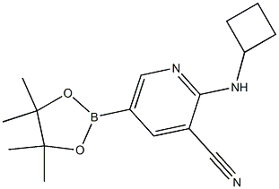 2-(cyclobutylamino)-5-(4,4,5,5-tetramethyl-1,3,2-dioxaborolan-2-yl)pyridine-3-carbonitrile Structure