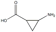 2-aMinocyclopropanecarboxylic acid 结构式