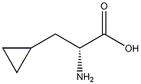 3-环丙基-D-丙氨酸, , 结构式