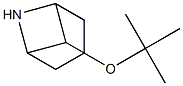 7-tert-butoxy-6-aza-bicyclo[3.1.1]heptane Struktur