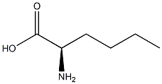 R-2-aminohexanoic acid 化学構造式