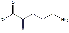 5-amino-2-oxo-pentanoate