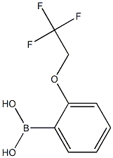  2-(2,2,2-Trifluoroethoxy)benzeneboronic acid 98%