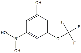 3-Hydroxy-5-(trifluoromethoxy)benzeneboronic acid 98% Struktur