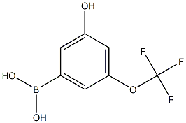 3-Hydroxy-5-(trifluoromethoxy)benzeneboronic acid 98% Structure