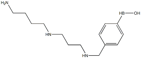 ((4-(B-hydroxyboryl)phenyl)methyl)spermidine 结构式