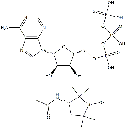  adenosine 5'-O-(S-acetamidoproxyl 3-thiotriphosphate)