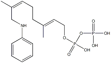 8-anilinogeranyl pyrophosphate