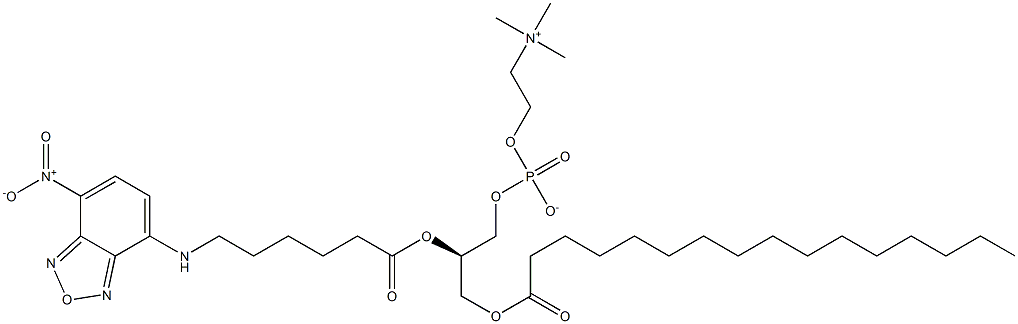 1-palmitoyl-2-(N-(7-nitrobenz-2-oxa-1,3-diazol-4-yl)aminohexanoyl)-sn-glycero-3-phosphocholine Structure