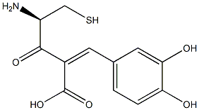 cysteinylcaffeic acid,,结构式