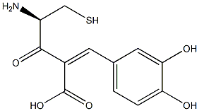 cysteinylcaffeic acid 化学構造式