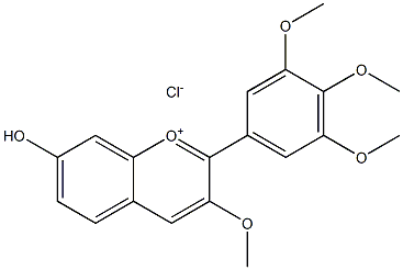 3,3',4',5'-TETRAMETHOXY-7-HYDROXYFLAVYLIUMCHLORIDE Structure