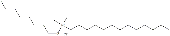 DODECYLDIMETHYLOCTYLOXYMETHYLAMMONIUMCHLORIDE 化学構造式