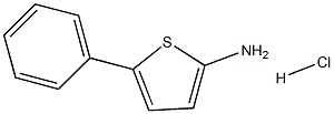 5-PHENYL-2-THIOPHENAMINEHYDROCHLORIDE 结构式
