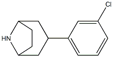 3-(3-chlorophenyl)-8-azabicyclo[3.2.1]octane