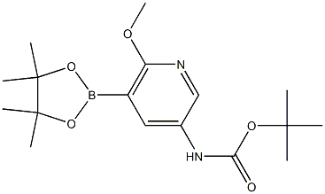 [6-Methoxy-5-(4,4,5,5-tetramethyl-[1,3,2]dioxaborolan-2-yl)-pyridin-3-yl]-carbamic acid tert-butyl ester,,结构式