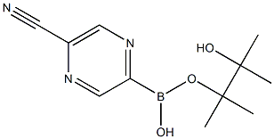 5-CYANOPYRAZINE-2-BORONIC ACID PINACOL ESTER Struktur