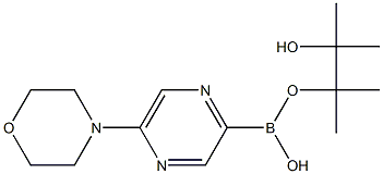 5-MORPHOLINOPYRAZINE-2-BORONIC ACID PINACOL ESTER 结构式