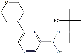6-MORPHOLINOPYRAZINE-2-BORONIC ACID PINACOL ESTER