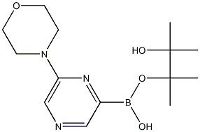 6-MORPHOLINOPYRAZINE-2-BORONIC ACID PINACOL ESTER 结构式