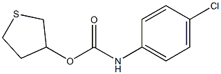 tetrahydrothiophen-3-yl N-(4-chlorophenyl)carbamate 结构式