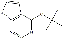 4-(tert-butoxy)thieno[2,3-d]pyrimidine|