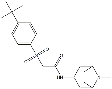  2-{[4-(tert-butyl)phenyl]sulfonyl}-N-(8-methyl-8-azabicyclo[3.2.1]oct-3-yl)acetamide