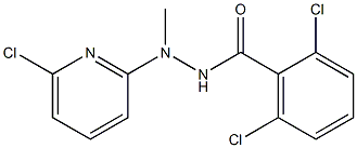 2,6-dichloro-N'-(6-chloro-2-pyridinyl)-N'-methylbenzenecarbohydrazide