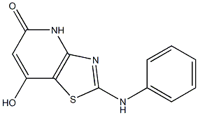 2-anilino-7-hydroxy[1,3]thiazolo[4,5-b]pyridin-5(4H)-one 结构式