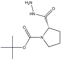 1-t-boc-(S)-pyrrolidine-2-carbohydrazide Structure