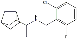 (1-{bicyclo[2.2.1]heptan-2-yl}ethyl)[(2-chloro-6-fluorophenyl)methyl]amine|