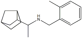 (1-{bicyclo[2.2.1]heptan-2-yl}ethyl)[(2-methylphenyl)methyl]amine